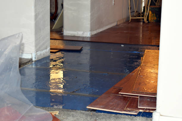 Professional Burst Pipe Cleanup technician working in Carr, CO